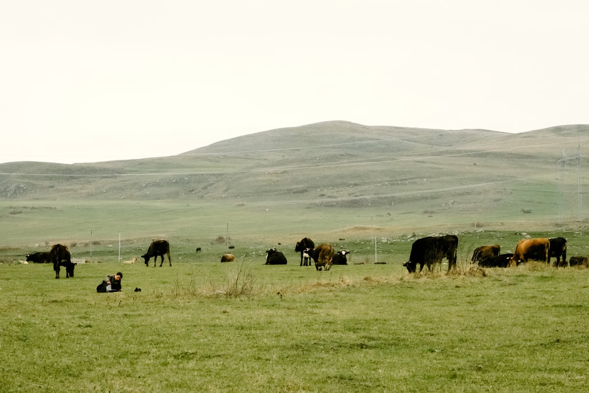 A Home Already Lost — Tsalka, Georgia — frame